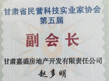 甘肅省民營科技實業家協會第五屆副會長